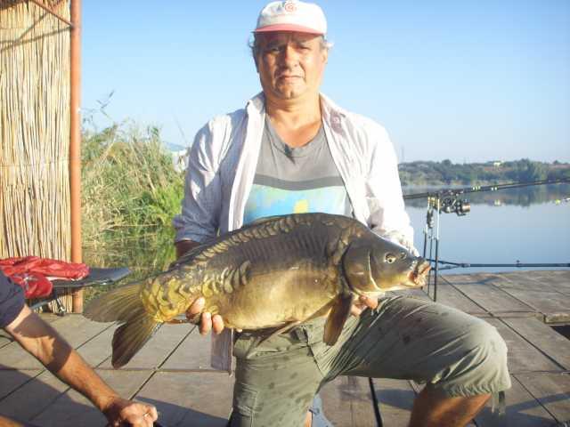 Diverse - salonta-9-kg.jpg